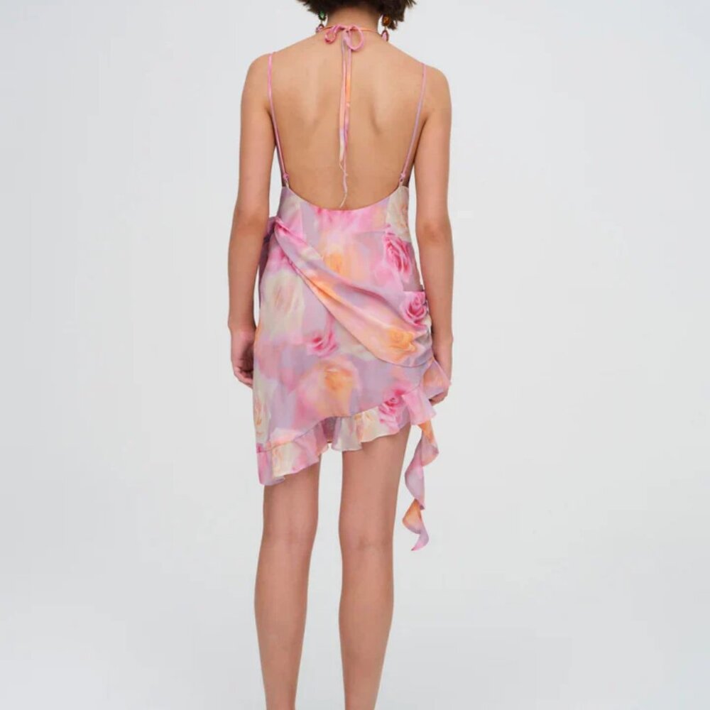 Beate Mini Dress - Picture 4 of 14